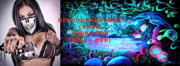 Альфа ПВП Белокуриха