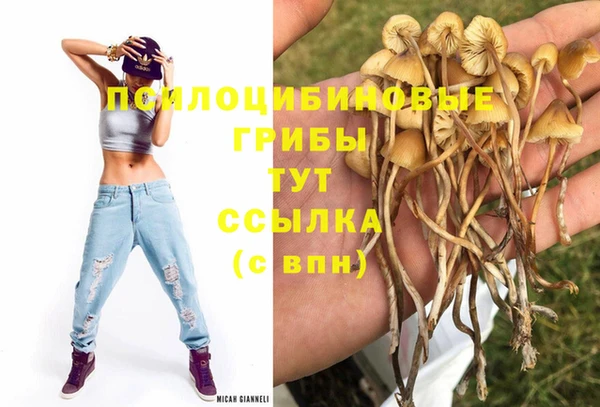 спиды Балабаново