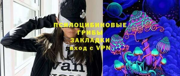 Альфа ПВП Белокуриха
