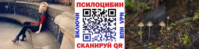 Псилоцибиновые грибы Cubensis где продают наркотики Удачный
